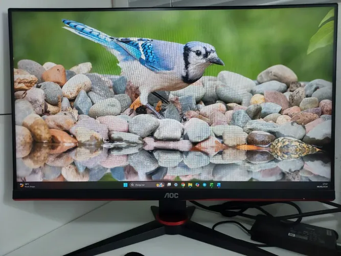 Monitor AOC Speed | Full HD | 75 hz | 24 pol | Painel IPS