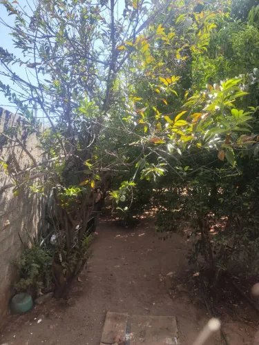 Aluguel terreno para instalação de torres e afins