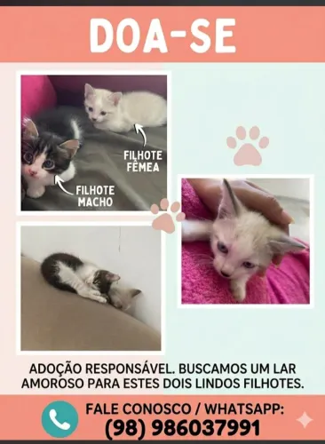 Doação 