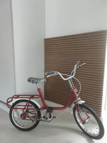Bicicleta Monareta Mirim Aro 16