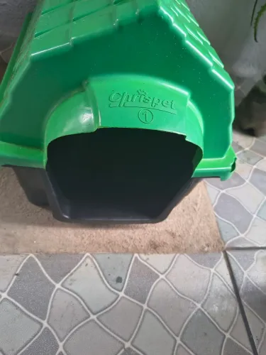 Casinha de cachorro número 1
