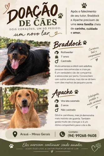 Doação Rottweiler e Caramelo