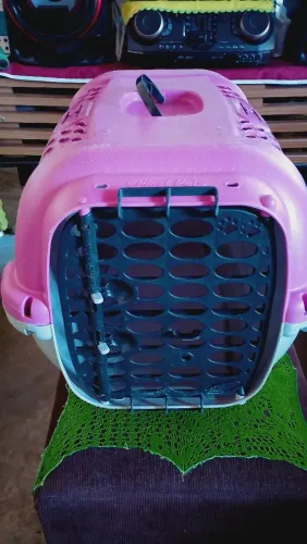 Caixinha de transporte para Pet
