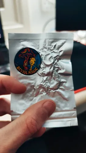 Amostras botânicas [produção própria] Cogum.