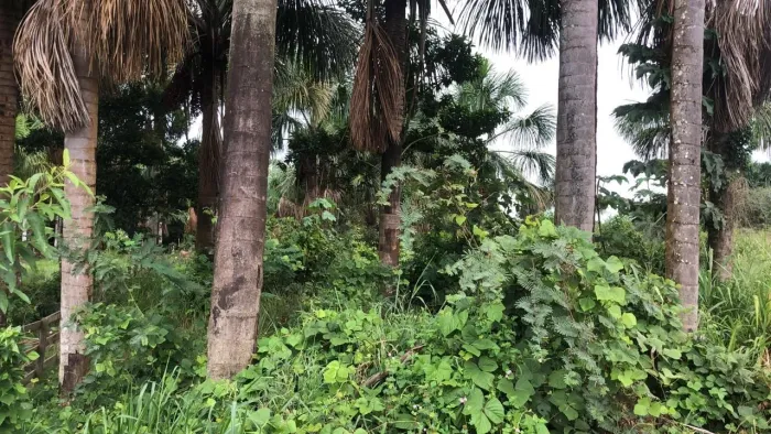 Terreno barato 4 mil