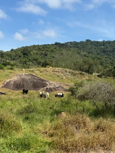 Ótima oportunidade em Monte Verde 