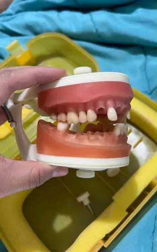 Vendo manequim odontológico
