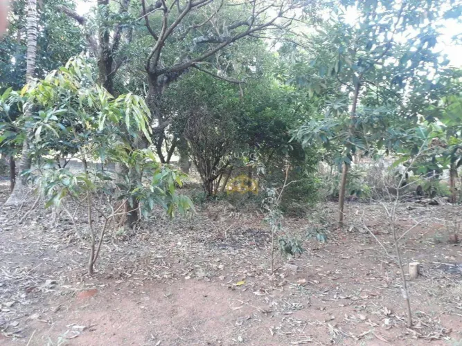 TERRENO À VENDA, 1687 M² NO PARQUE RESIDENCIAL REGINA (NOVA VENEZA) - SUMARÉ/SP