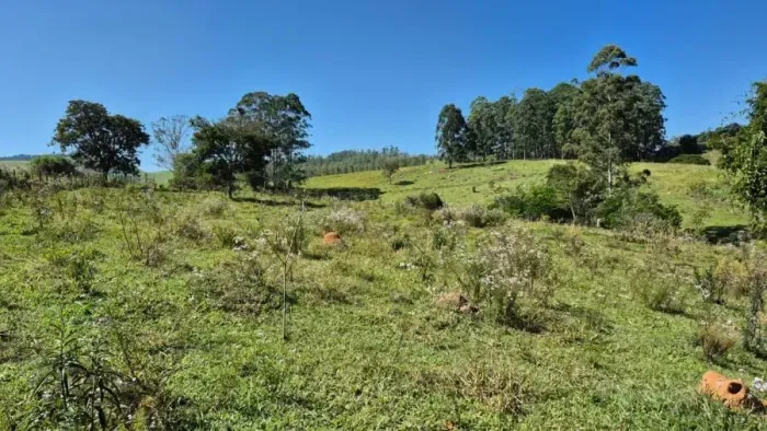 SÍTIO FORMADO PRÓXIMO DO ASFALTO À VENDA EM LAGOINHA-SP