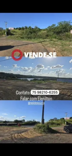 Vendo terreno 35×50