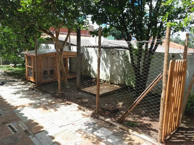 GALINHEIRO E CERCADO!! 