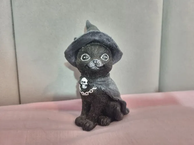 Gato bruxos geek
