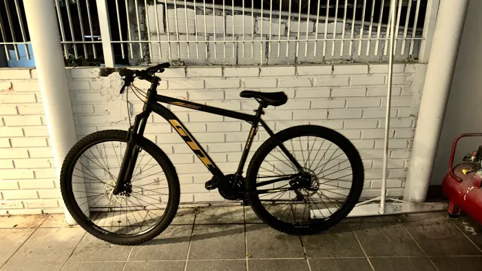 BIKE GT ARO 29