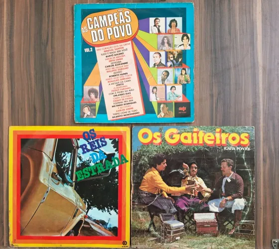 Kit 3 Discos de Vinil Sucessos 