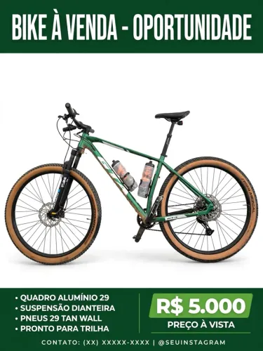 Mountain bike 