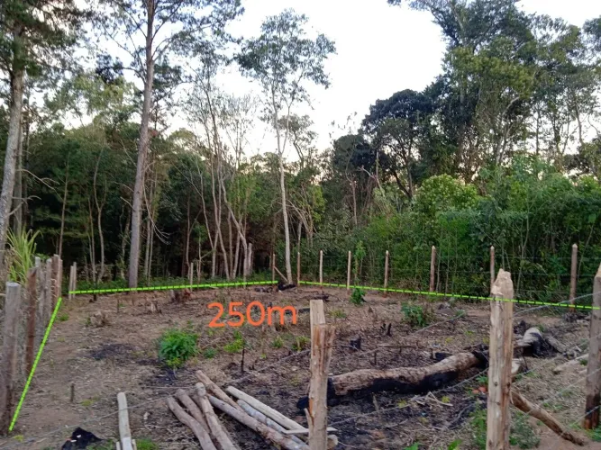 Venda urgente 