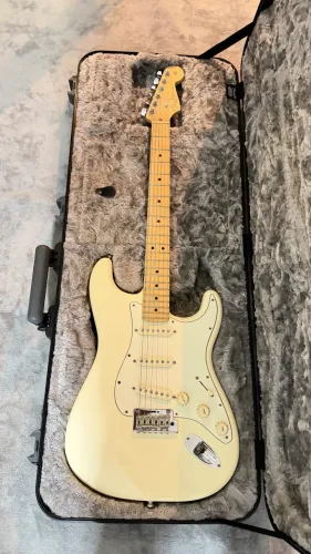 Fender American Professional Olympic White
