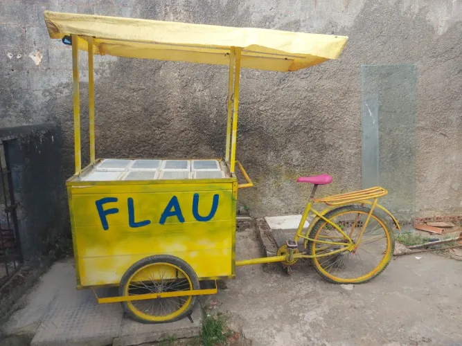 Bicicleta Cargo