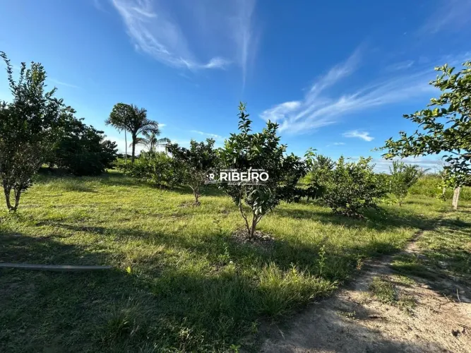 Chácara pronta para morar e desfrutar do pomar!
