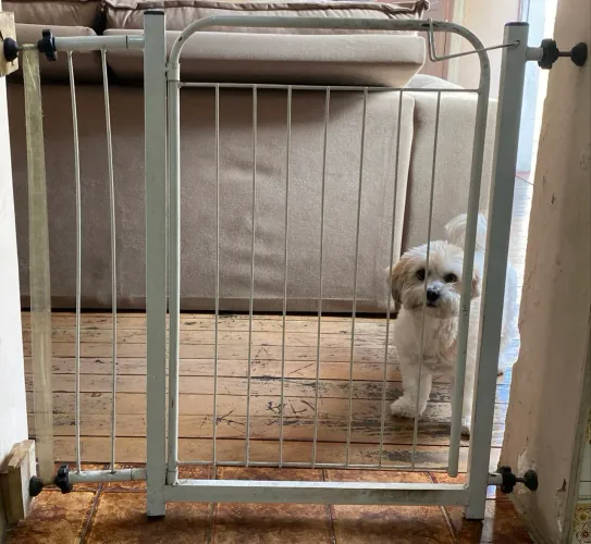 Portão proteção pet e crianças 