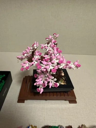 Bonsai lego