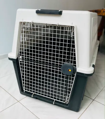 Caixa de transporte para cães porte médio e grande