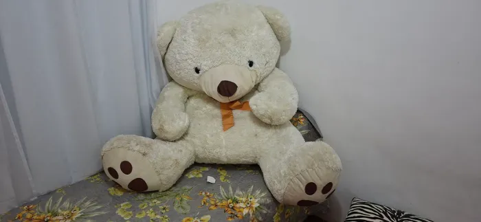 Urso Gigante