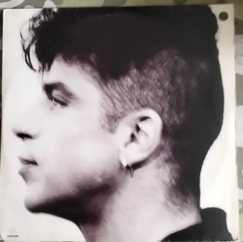 Vinil LP Lulu Santos - Minha Vida (1991) Pop Rock / Brasil