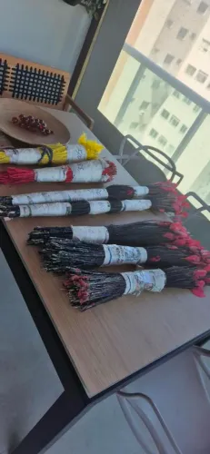 Faisão para desfile de escola de samba