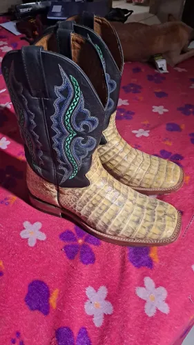 Bota Jácomo jacaré