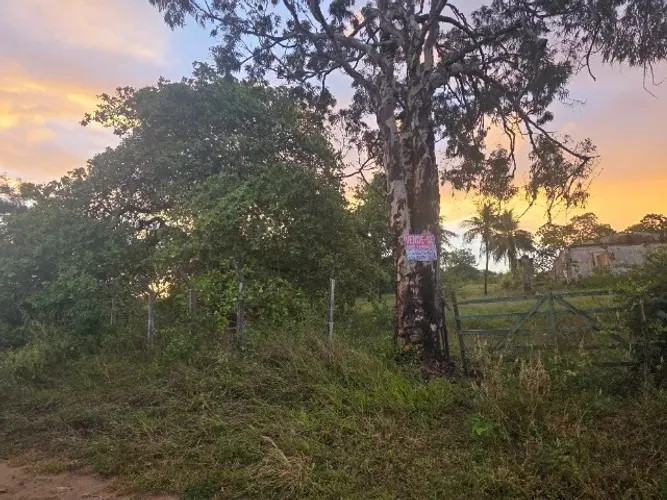 Terreno lote