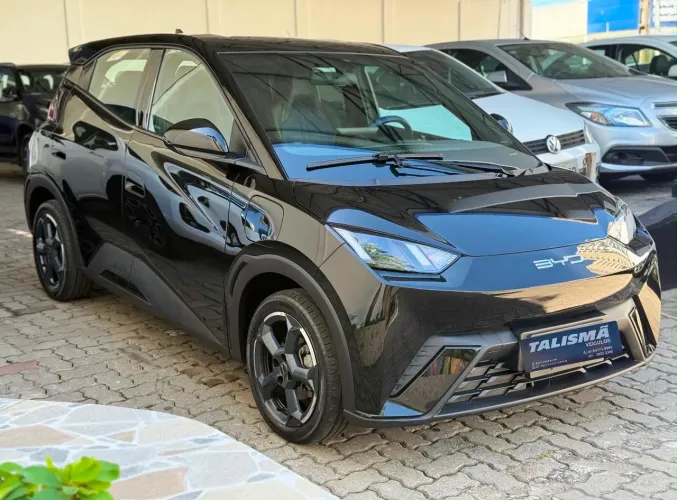 BYD Dolphin Mini (Elétrico) 2025
