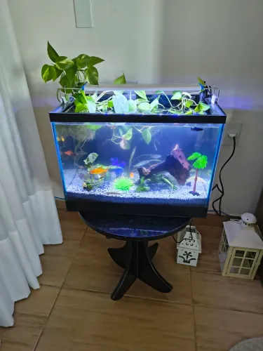Vendo aquário