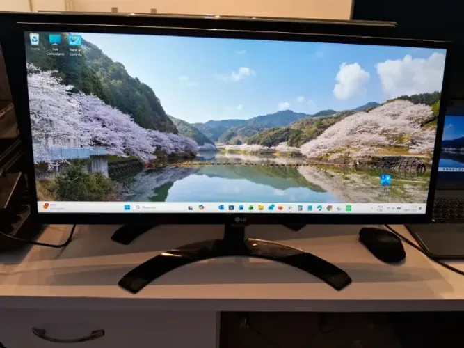 Lote com 3 Monitores LG UltraWide 29? ? R$ 2.400,00