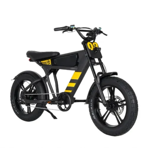 Bicicleta Elétrica FT-03 1000w