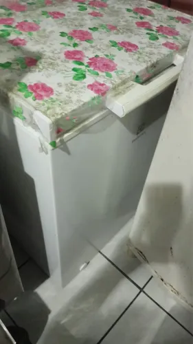 Freezer Electrolux