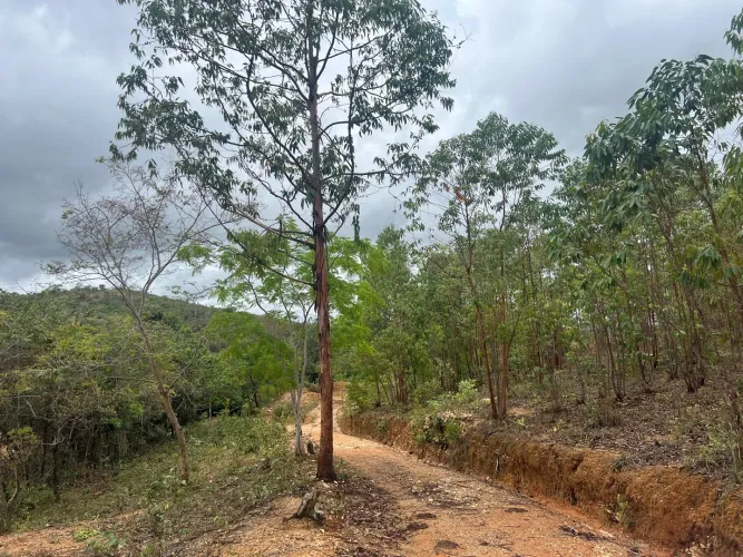Fazendinha de 6.5 hectares em Jaboticatubas