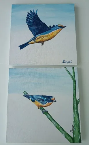 Conjunto de Quadros de Pássaros pintados sobre tela
