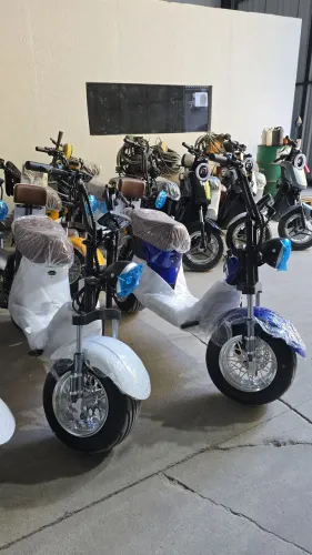 Bike Elétrica Modelo X13 (Autopropelido)