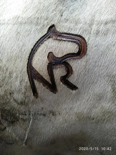 Marca pra Gado(Carimbo)