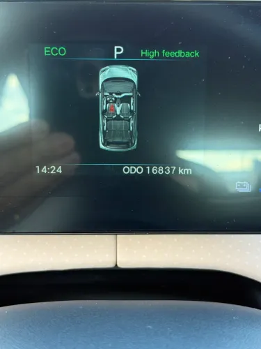 BYD Dolphin Mini (Elétrico) 2025
