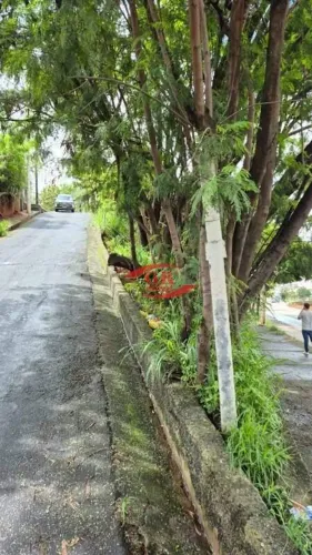 EXCELENTE LOTE A VENDA NO BAIRRO NOVA SUISSA!