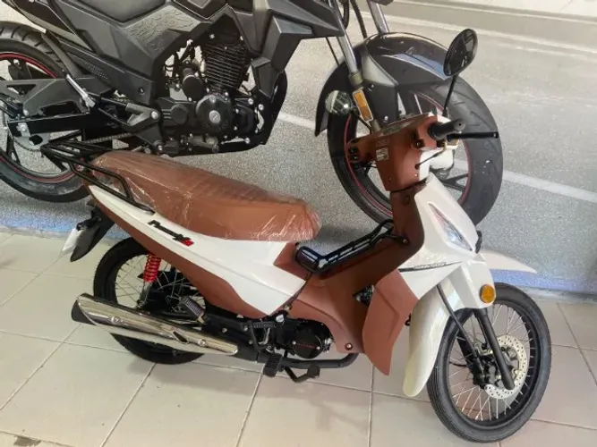 Shineray Phoenix S 50 2026