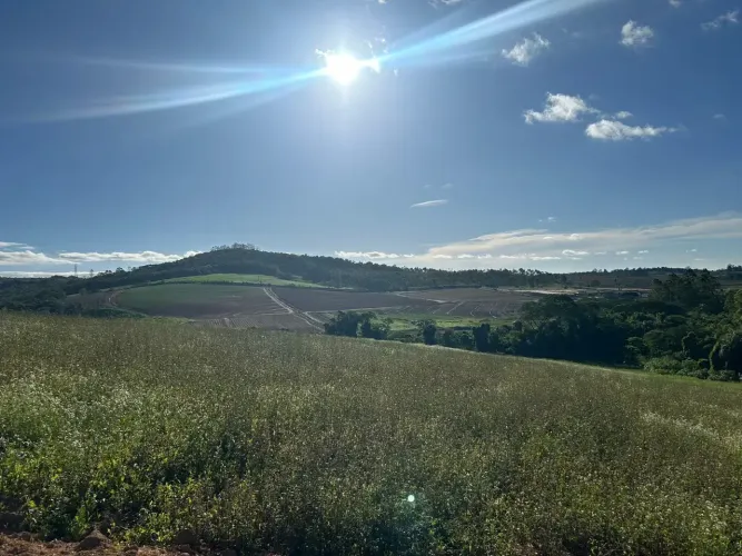 NÃO PASSE DIRETO: 500m² + R$ 65 MIL!