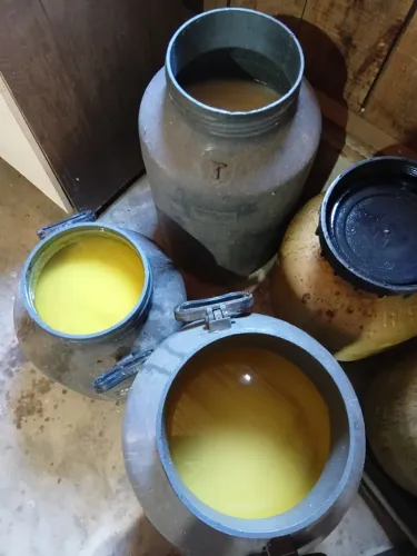 Banha de porco caipirinha