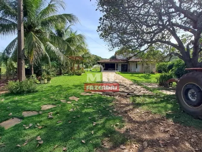 Fazenda 35 Alqueires (169,4 Hectares) Santa Isabel - GO