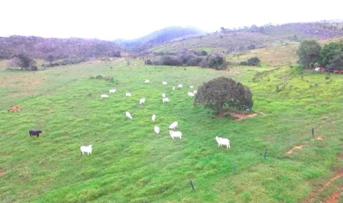 Fazenda em Niquelândia-go