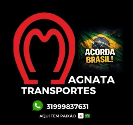 Transporte animal ou frete animal Magnata transportes
