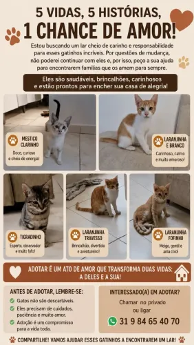 Doação Responsável