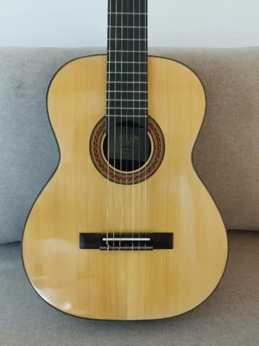 Violão profissional Rozini
